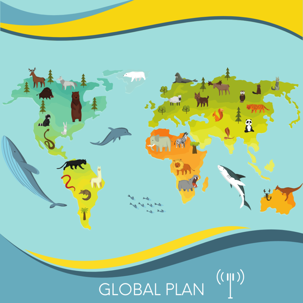 Świat  / Plan Globalny (140+ obszarów)